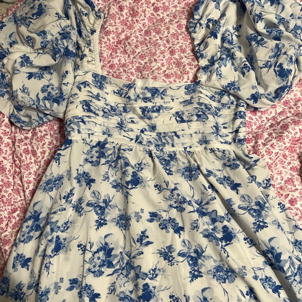 Floral Blue and White Dress